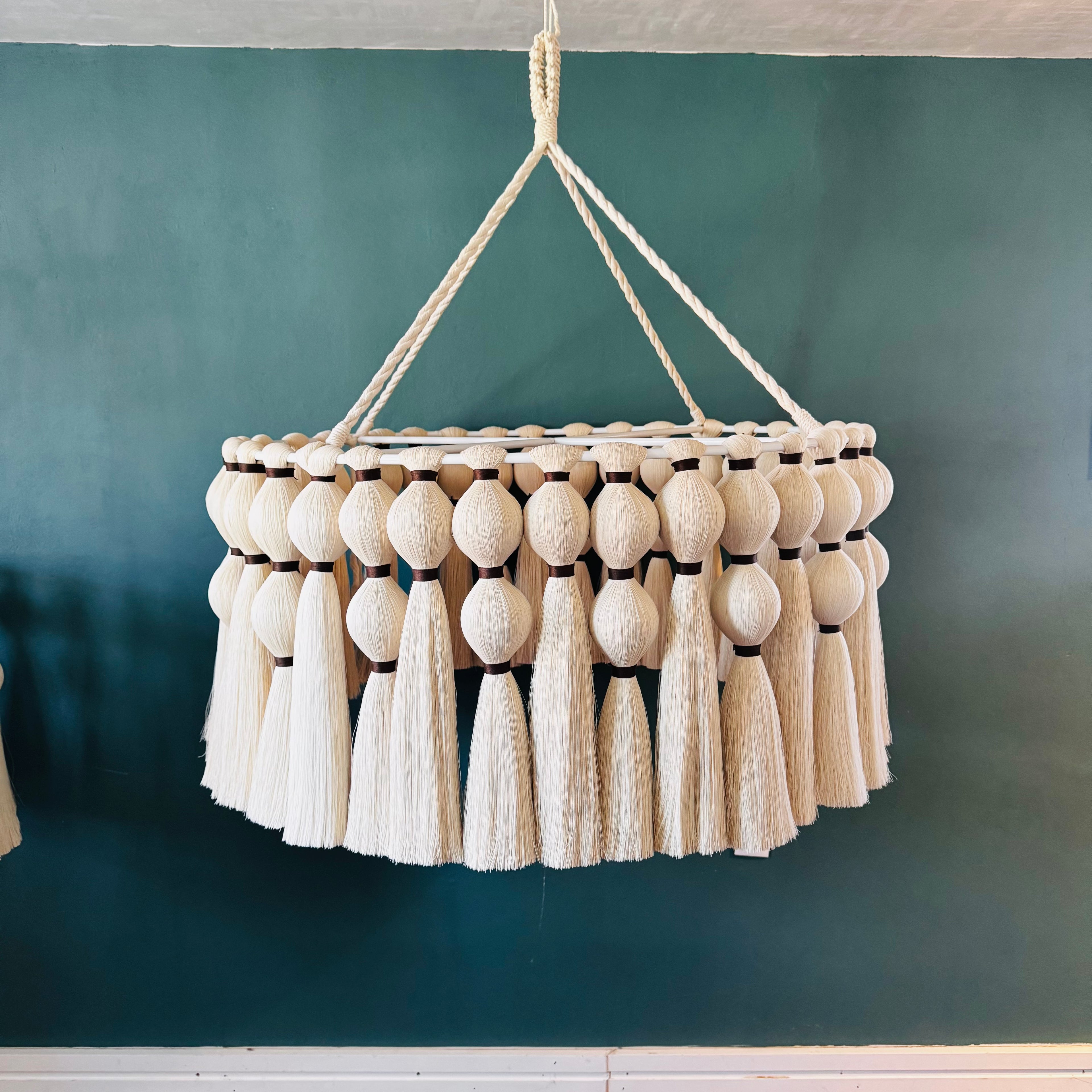 Maranta - Candil de Algodón