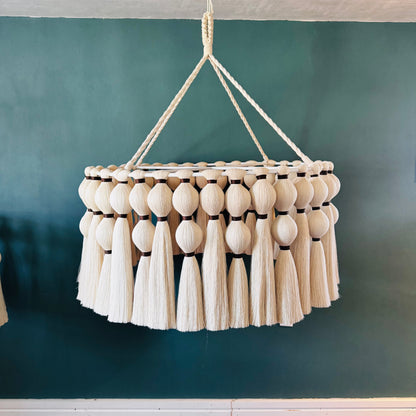 Maranta - Candil de Algodón