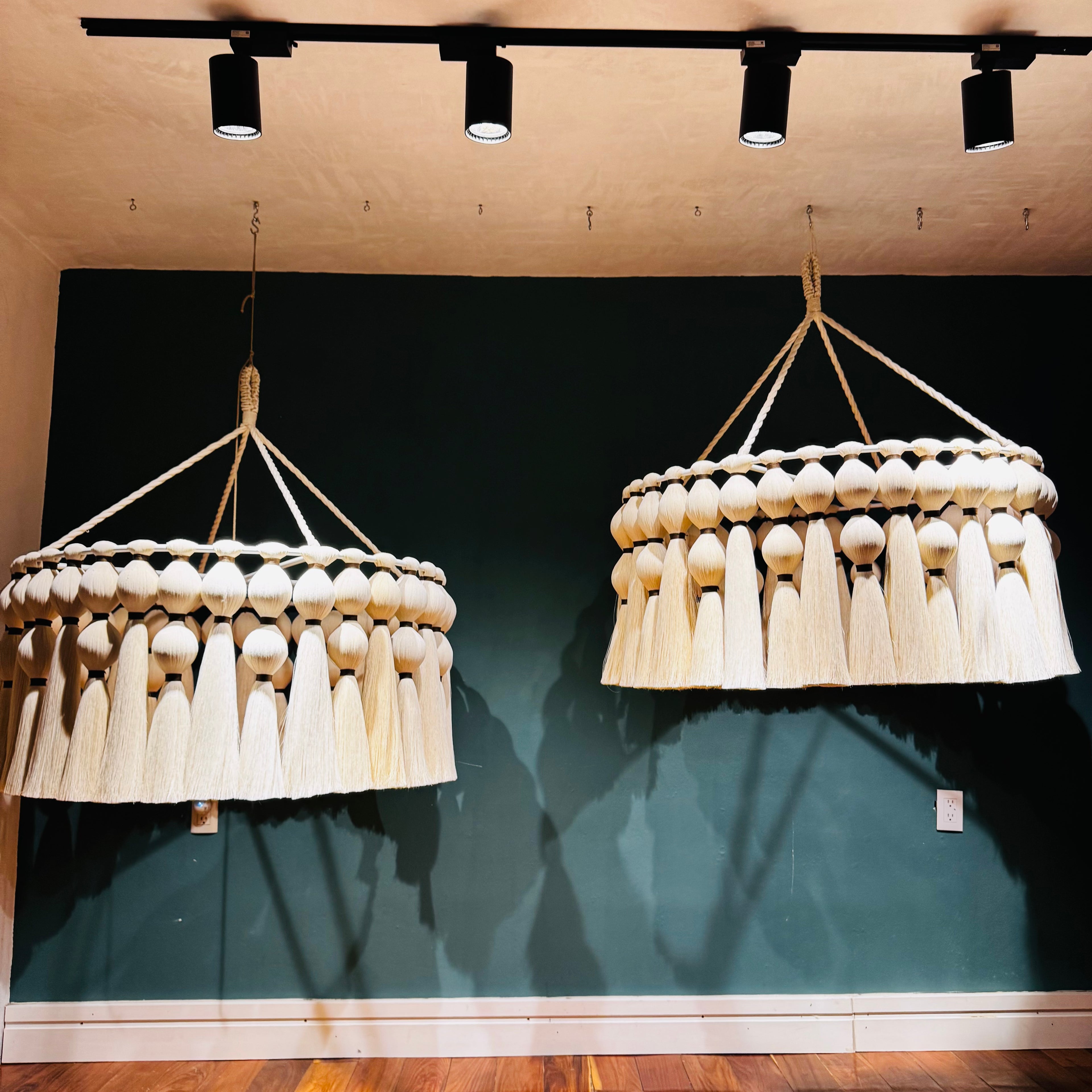 Maranta - Candil de Algodón