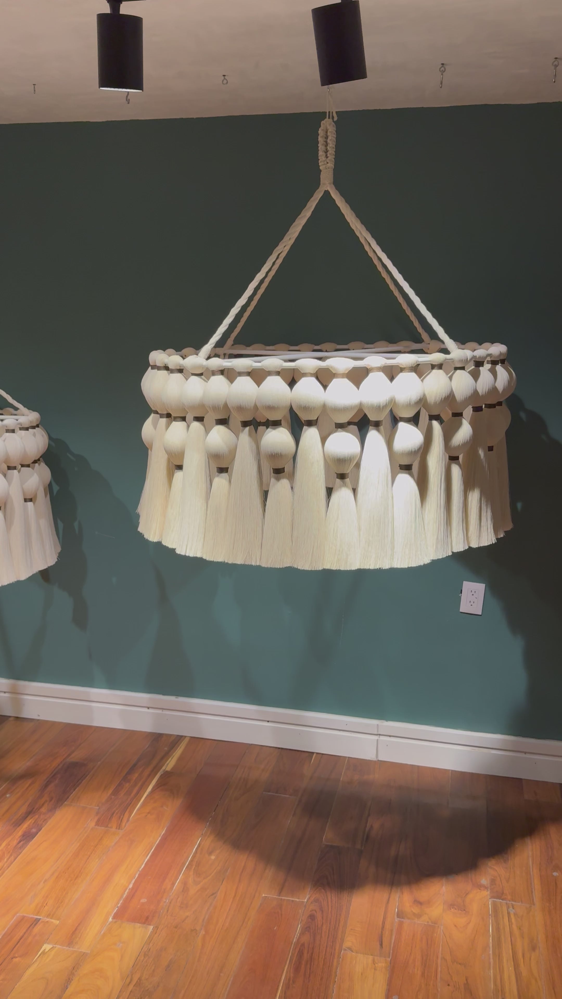 Maranta - Candil de Algodón